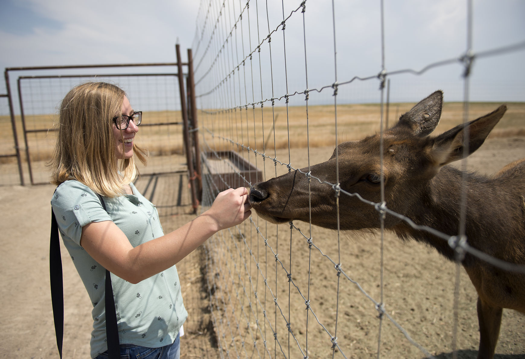 P and T Elk Farms